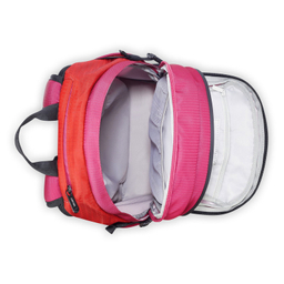 کوله پشتی ورزشی دلسی مدل NOMADE کد 3335611