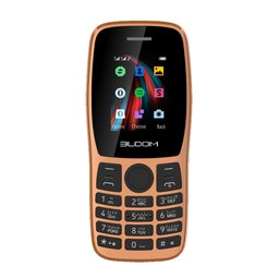 گوشی موبایل بلووم پلاس مدل B101 دو سیم کارت