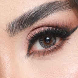 لنز رنگی سالیانه هرا شماره 10 کد HJ310 رنگ خاکستری عسلی روشن