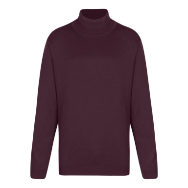 پلیور یقه اسکی مردانه ایزی دو مدل GD-s-16898934