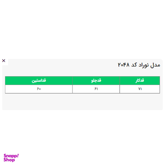 شومیز زنانه السانا مدل نوراد کد 204801