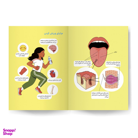 کتاب بدن انسان اثر کتی استوکس انتشارات کودکیار