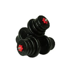 دمبل رادیس فیت مدل DVP-12-mix1 وزن 12 کیلوگرم بسته 2 عددی