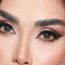 لنز رنگی سالیانه هرا شماره 10 کد HJ310 رنگ خاکستری عسلی روشن