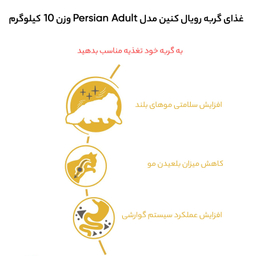 غذای گربه رویال کنین مدل Persian Adult وزن 10 کیلوگرم