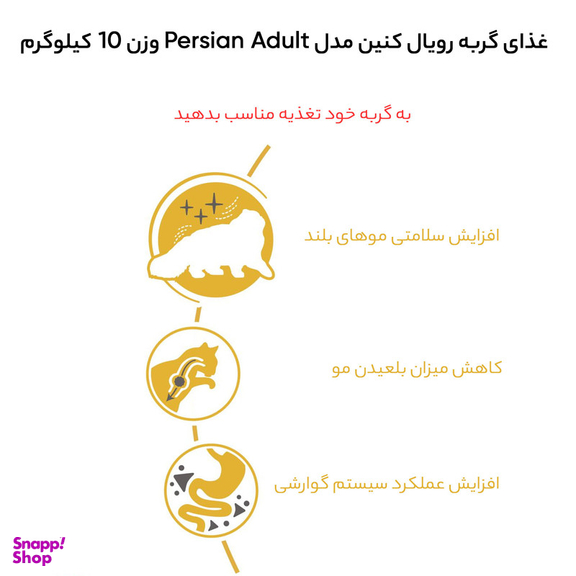 غذای گربه رویال کنین مدل Persian Adult وزن 10 کیلوگرم