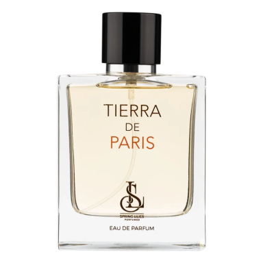 ادوپرفیوم مردانه اسپرینگ لیلیز مدل Tierra حجم 100 میلی لیتر