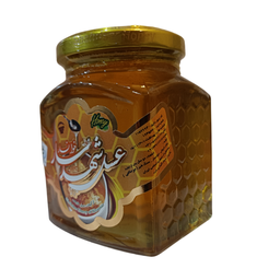 عسل گون شهدسار خوانسار وزن 500 گرم