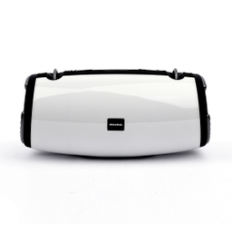 اسپیکر قابل حمل کلومن مدل KS-155