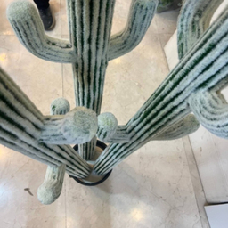 درختچه مصنوعی کاکتوس کد 5711