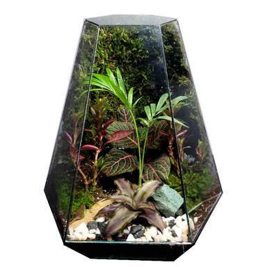 تراریوم ترارتوس مدل 03