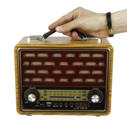 اسپیکر بلوتوثی و رادیو رایسنگ مدل R-2088BT