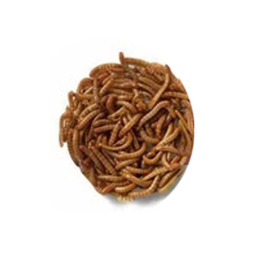 غذای پرندگان کوکو کد 2097