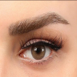 لنز گریس هرا کد 14 رنگ عسلی