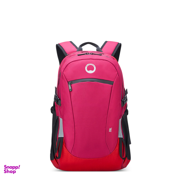 کوله پشتی ورزشی دلسی مدل NOMADE کد 3335611