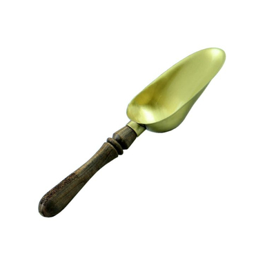 قاشق آجیل خوری سالینو کد WB-00034