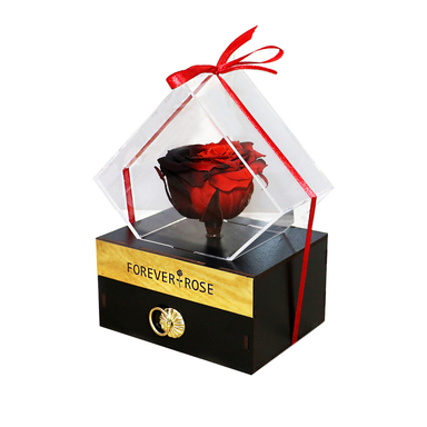 جعبه گل رز جاودان مدل Ember Rose