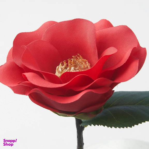 گل مصنوعی ایکیا مدل SMYCKA-NEW بسته 4 عددی