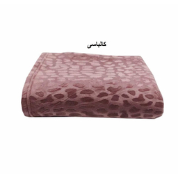پتو مسافرتی شایسته مدل فایپکو اسکارلت مخمل سنگی سایز 155×205 سانتی متر
