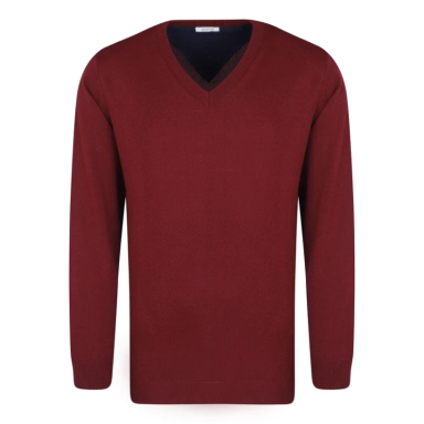 پلیور مردانه ایزی دو مدل GD-s-16897828