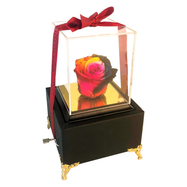جعبه گل موزیکال هندلی کد 03