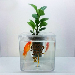 آکواریوم مدل دوزیست