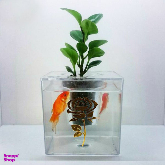 آکواریوم مدل دوزیست