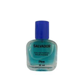 عطر جیبی مردانه پینک ویژوال مدل SALVADOR حجم 30 میلی لیتر