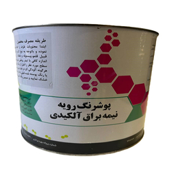 رنگ روغنی نیمه براق برجیس مدل 05 وزن 4 کیلوگرم