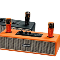 اسپیکر بلوتوثی قابل حمل ترانیو مدل BM22 به همراه میکروفون