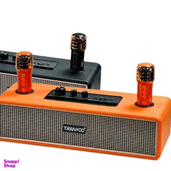 اسپیکر بلوتوثی قابل حمل ترانیو مدل BM22 به همراه میکروفون