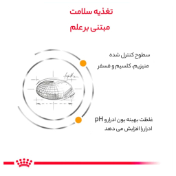 غذای خشک گربه رویال کنین مدل Urinary وزن 1.5 کیلوگرم