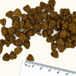 غذای خشک گربه مونگه مدل Indoor ایتالیا طعم مرغ وزن 400 گرم