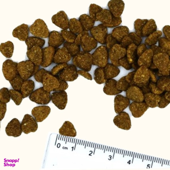 غذای خشک گربه مونگه مدل Indoor ایتالیا طعم مرغ وزن 400 گرم