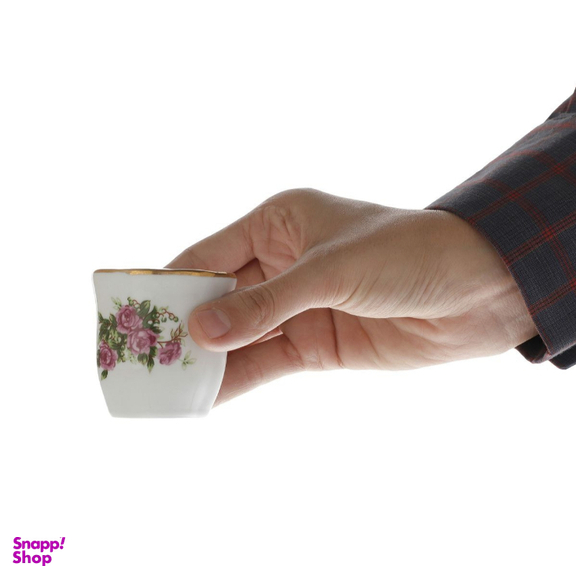 ست نمکدان مقصود مدل گلسرخی کد 986 بسته 6 عددی