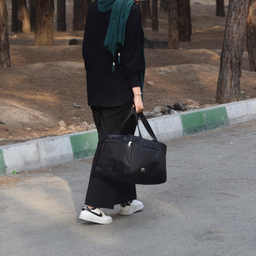 ساک سفری فیرو پلاس مدل FP826