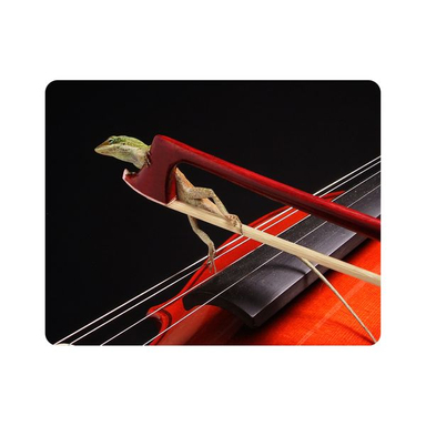 ماوس پد اطلس آبی طرح مارمولک مدل T5847