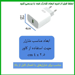 محافظ کابل و شارژر دیواری مدل اژدها بی دندون مجموعه 4 عددی