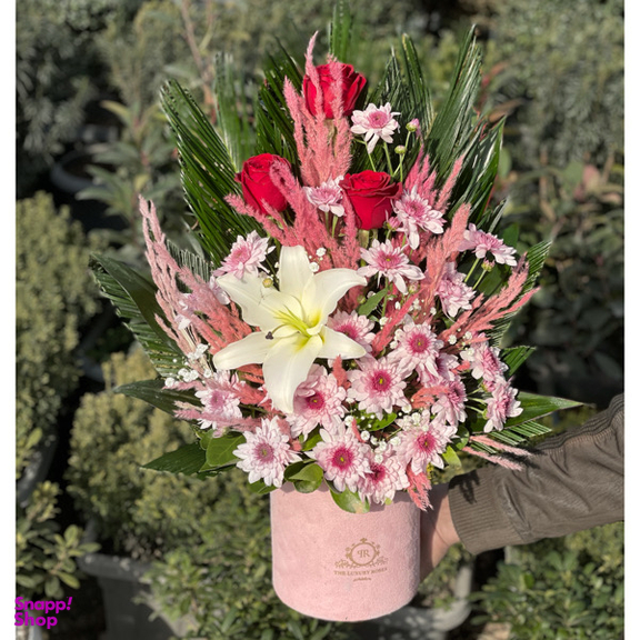 باکس گل گل آنلاین مدل اقتصادی